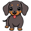 Dachshund Dog