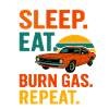 Sleep Eat Burn Gas Repeat 