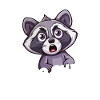Raccoon Who Shit My Pants