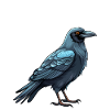 F-Caw-F Meme Crow F-Caw-F Raven