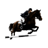 Cheval cabré avec cavalier