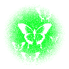 Schmetterling