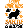 Sheltie No Children Shetland Sheepdog