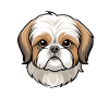 Cute Shih Tzu Head Cartoon
