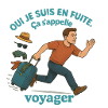 Flight to travel