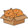 Cat Purr in Cardboard Meme