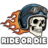 Ride ou le casque Skull