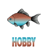 Pisciculteur Aquariophile Pisciculture