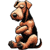 Airedale Terrier Airedales Airedale Lover