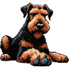 Airedale Terrier Airedales Airedale Lover