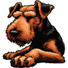 Airedale Terrier Airedales Airedale Lover