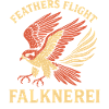 Feathers Flight Falknerei Falconry Enthusiast