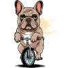 French Bulldog on Unicycle Funny Bully