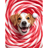 Christmas Dog among Sweets