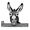 Laughing Donkey – Good Mood Guaranteed