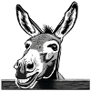 Cheeky donkey – laughter allowed!