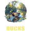 Ducks Duck