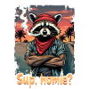 Racoon Sunset Streetstyle