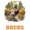 Ducks Duck