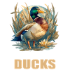 Ducks Duck