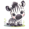 Zebras Zebra
