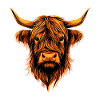 Cow Highland Cow Highland Cattle Cattle Farm Cows