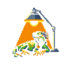 AFK? No. Thermoregulate only | Iguana