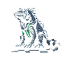 Cold-Blooded Pet | Iguana Reptile