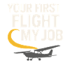 Fluglehrer Cfi Pilot Luftfahrtlehrer
