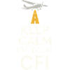 Fluglehrer Cfi Pilot Luftfahrtlehrer