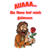 ouch, the rose bites me