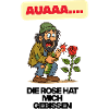 Ouch, the rose bit me