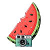 Watermelon Camera Illustration
