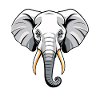 Elephant Head Cartoon Style