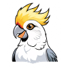 Cockatoo cartoon with yellow comb