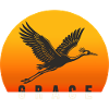 Grace – The Crane in the Sunset