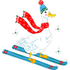 Goose on skis