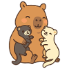 Capybara & Ferret – Friendship & Security