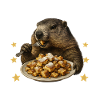 Kaiserschmarrn Murmeltier
