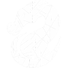 Dragon silhouette white