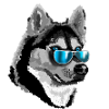 Husky with blue sunglasses