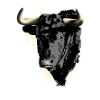 Bull's Head Printmaking