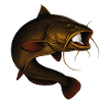 True-to-life catfish for anglers