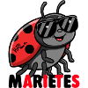 Ladybug with sunglasses