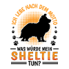 What Would Sheltie Do Shetland Sheepdog