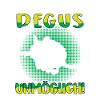 Life without a degu Common degu