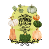 Hello Pumpkin Season