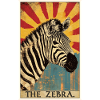 Zèbres Zèbre