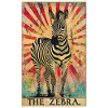 Zèbres Zèbre