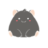 Zero Drama Just Cubes wombat